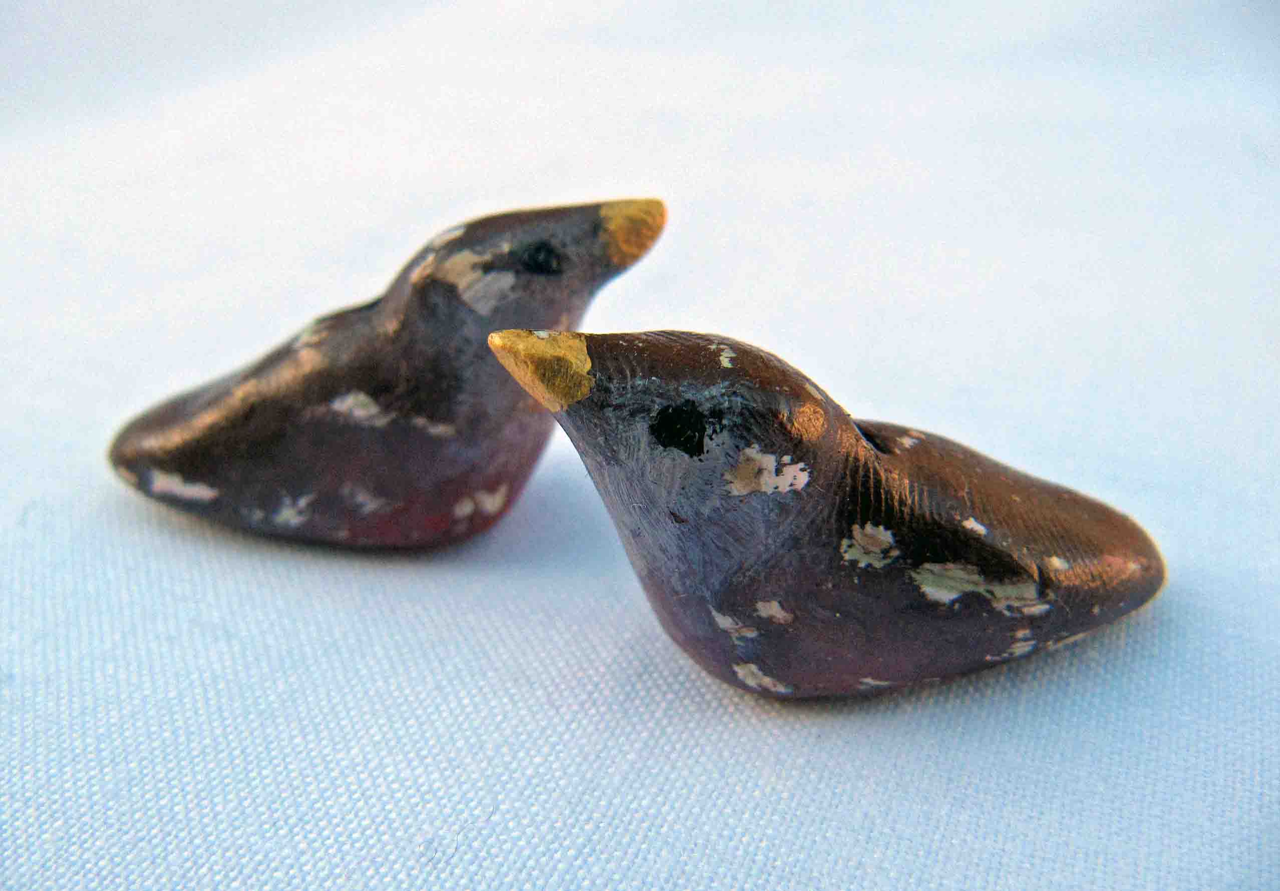 brown bird pair