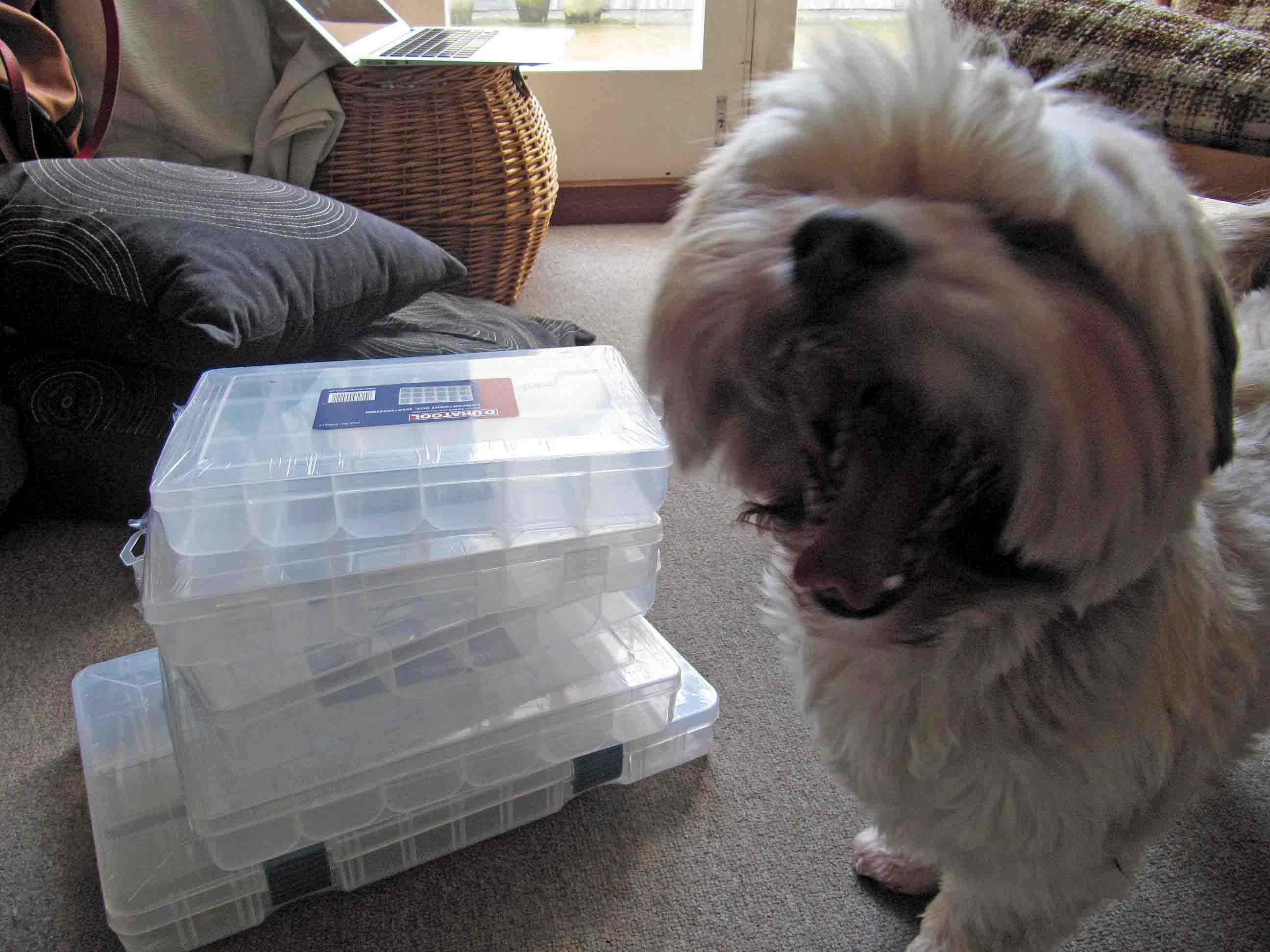dex yawning