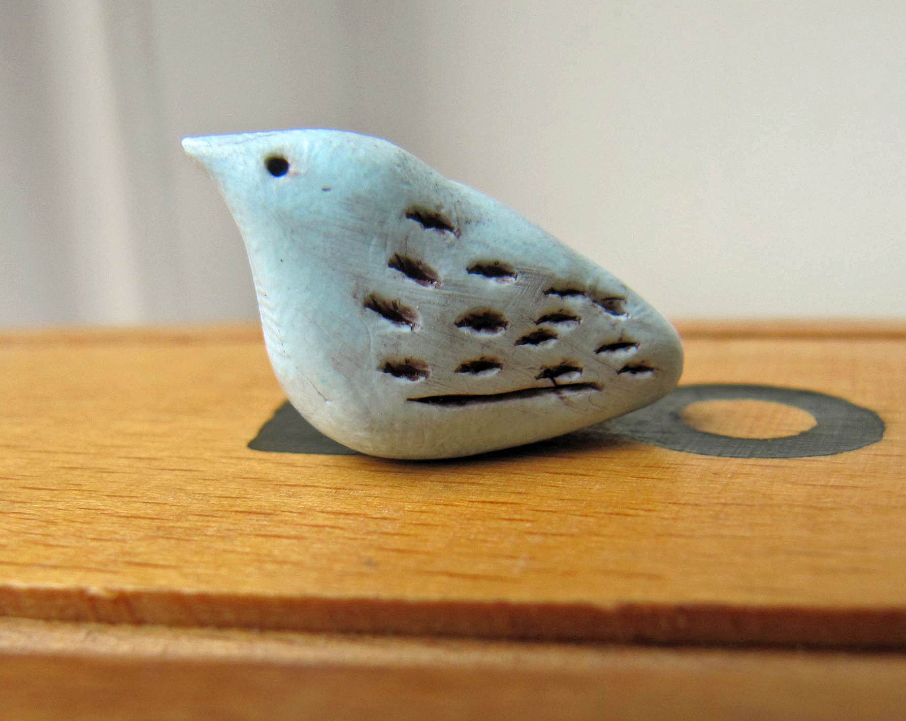 pale blue bird