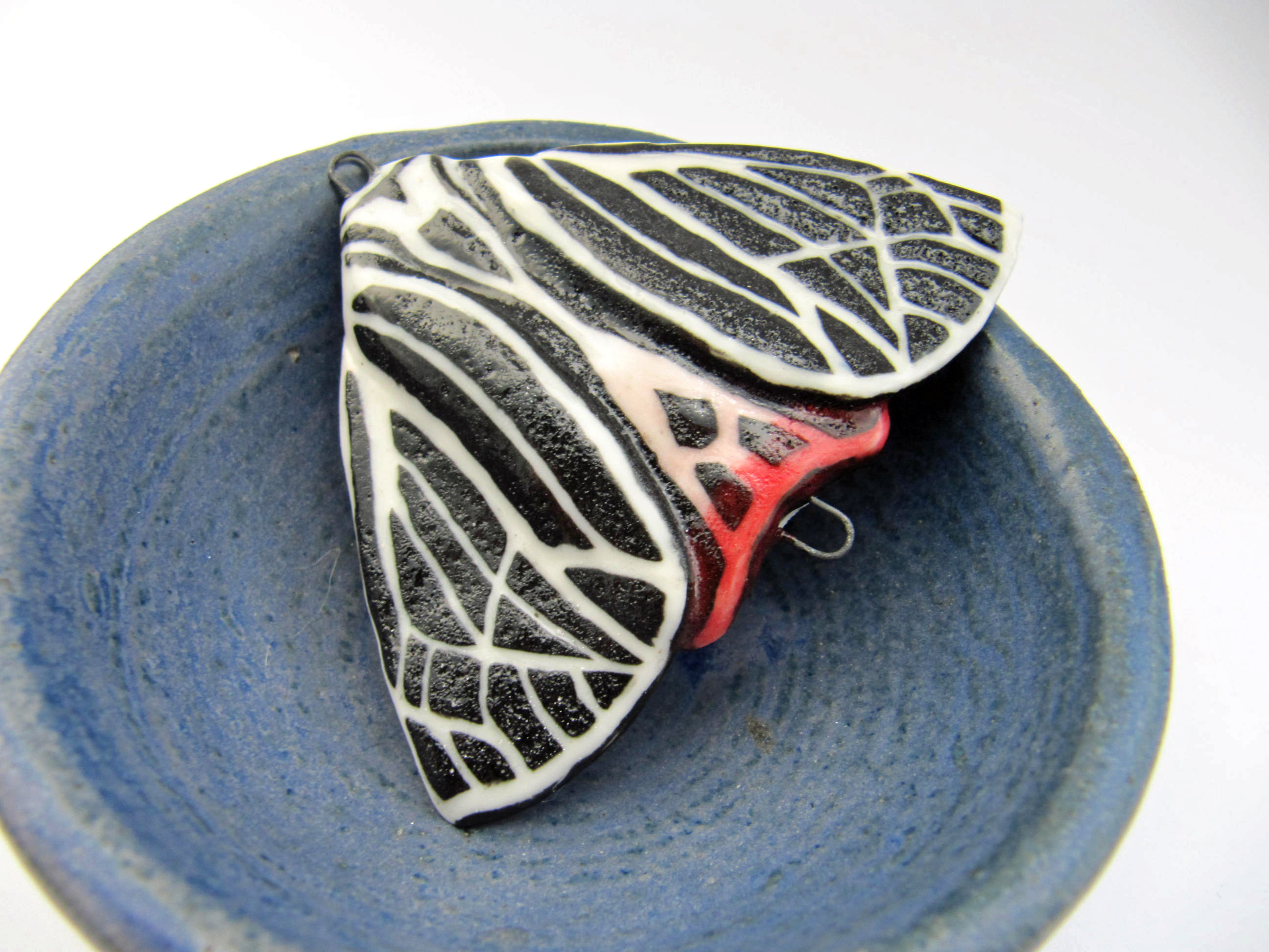 black and red tiger moth 1
