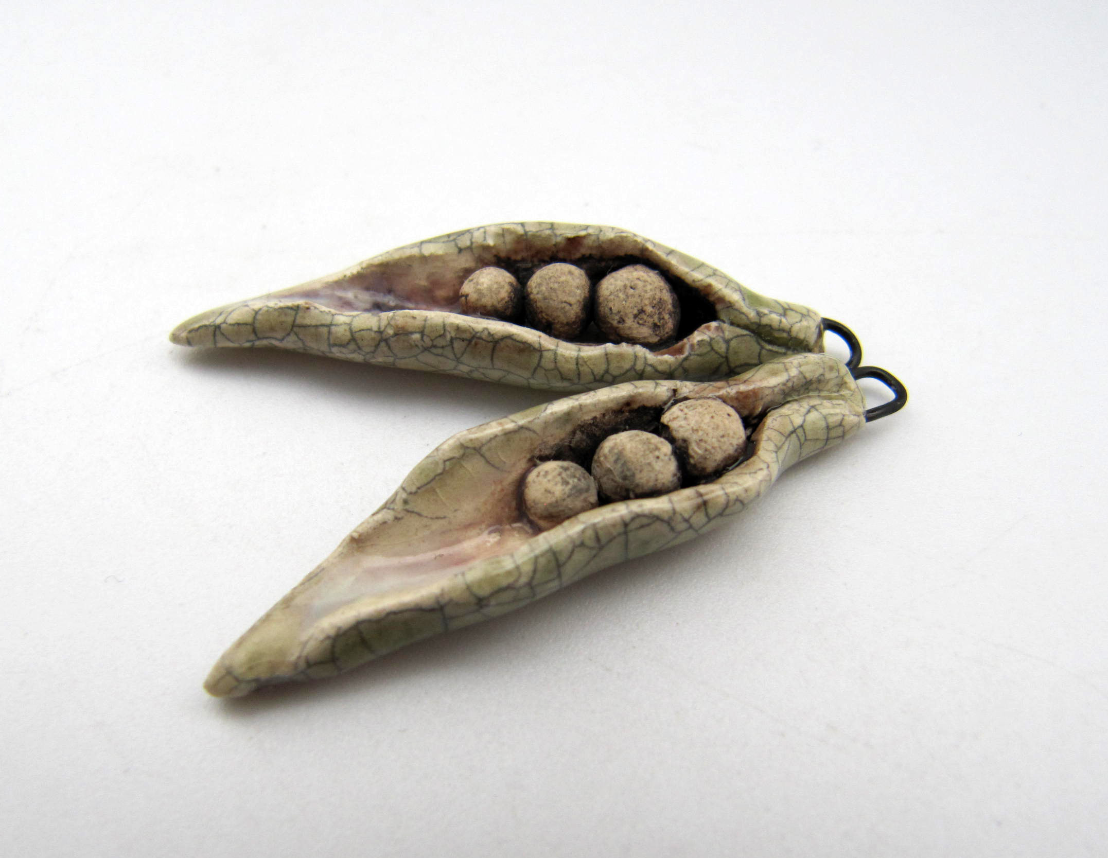 pale crackle seed pods