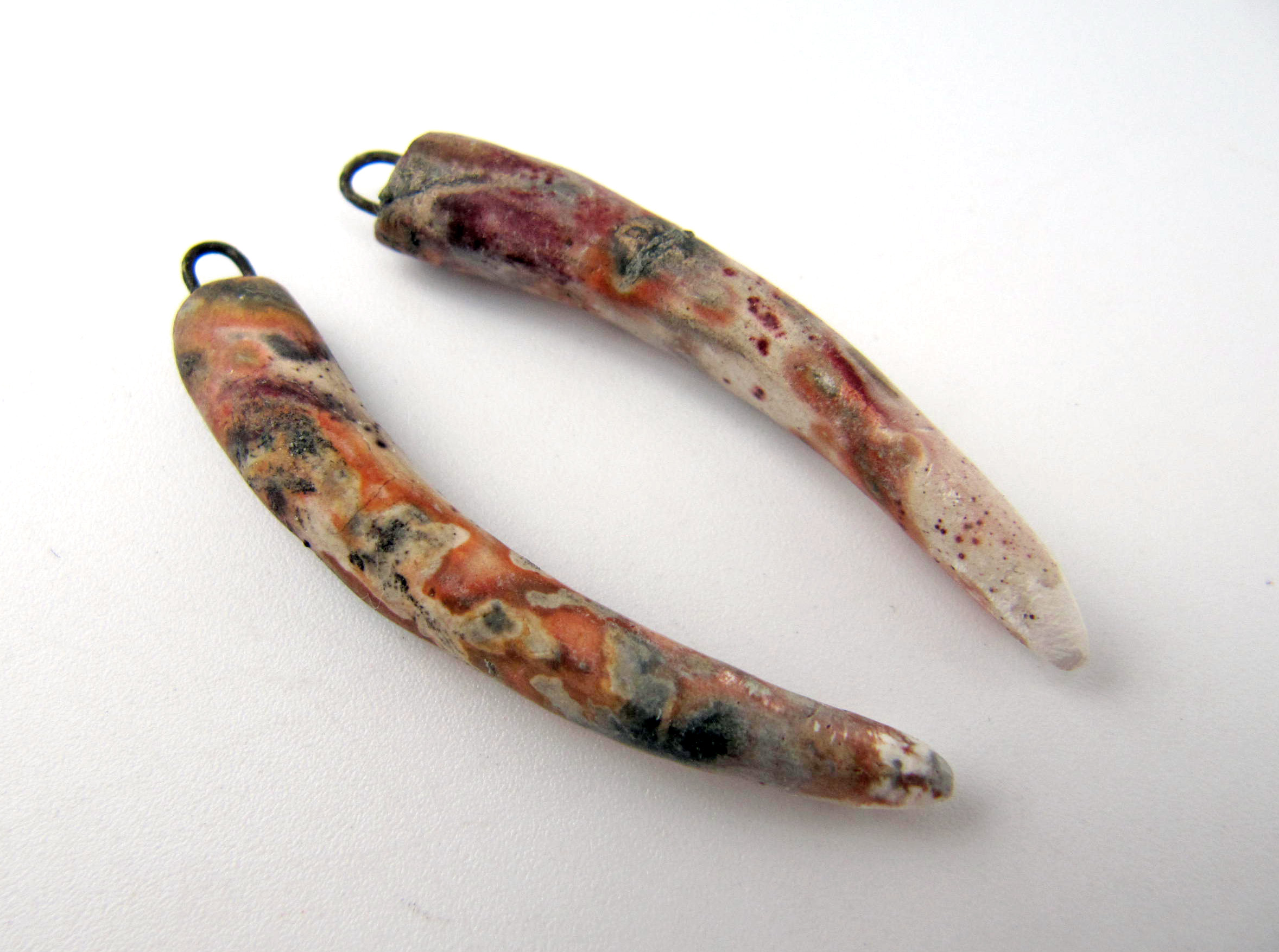 sawdust tusks 1