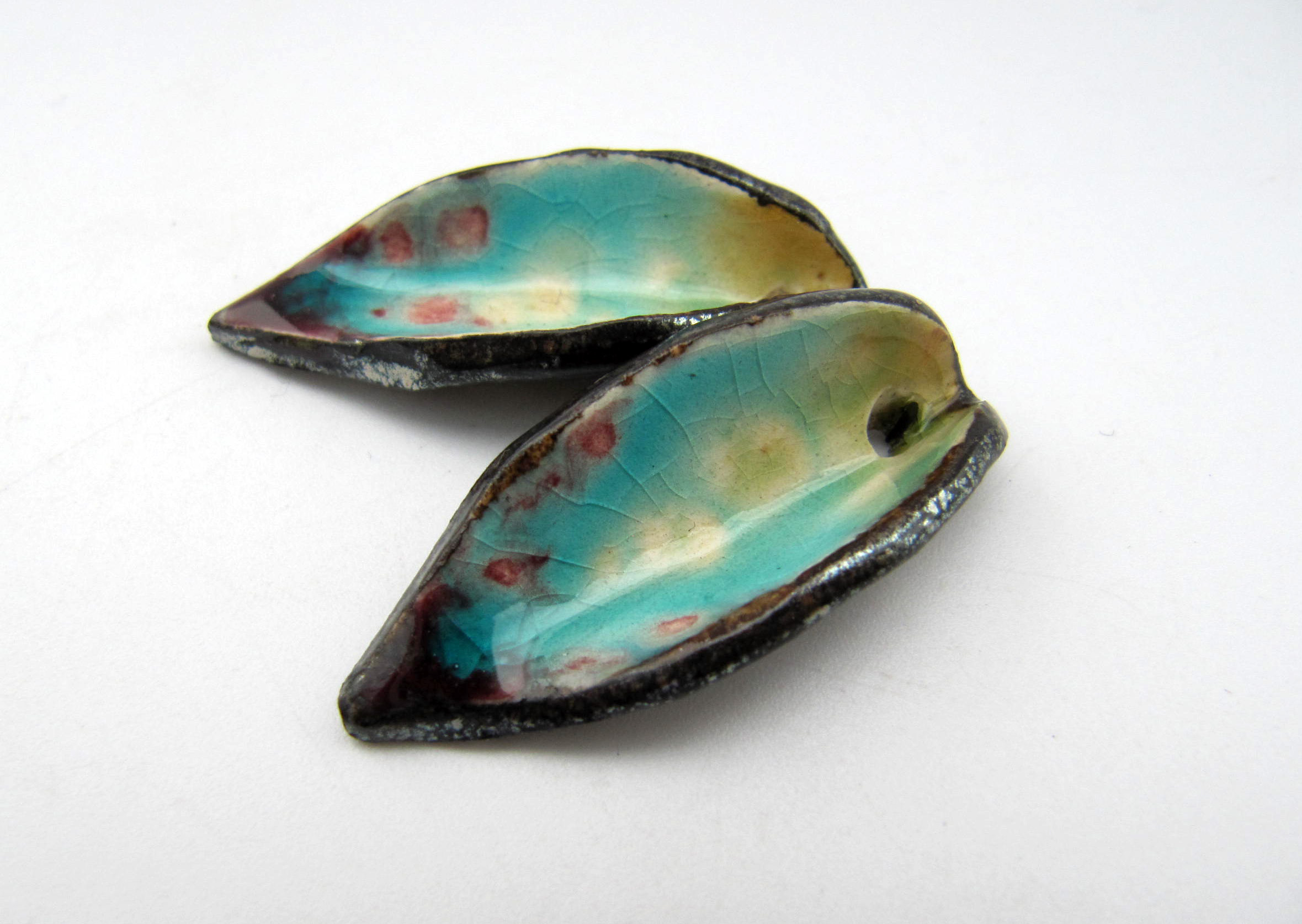 tropical waters leaves